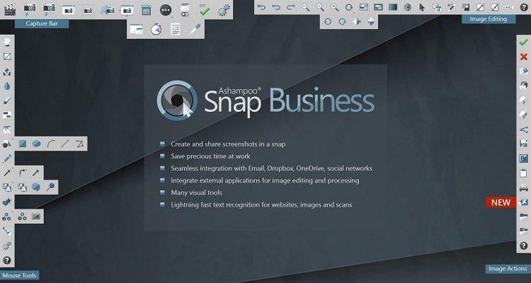 Ashampoo Snap Business v10.0.4 Portable Free Download